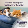 thumbnail image 7 of Nutramax Denamarin Liver Health Supplement for Small Dogs and Cats - with S-Adenosylmethionine (SAMe) and Silybin, 30 Blister Pack Tablets, 7 of 7