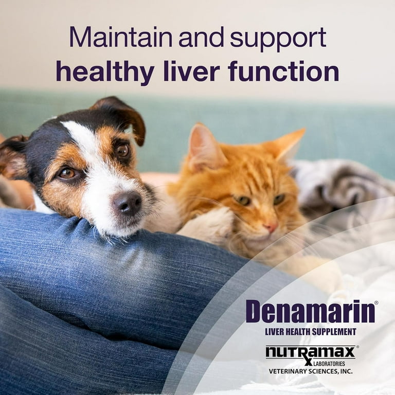 Nutramax Denamarin Liver Health Supplement for Small Dogs and Cats with S Adenosylmethionine SAMe and Silybin 30 Blister Pack Tablets Walmart