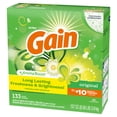 Gain Powder Laundry Detergent, Original Scent, 137 oz, 133 Loads ...