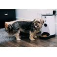 thumbnail image 4 of Wifi Pet Feeder, 4 of 4