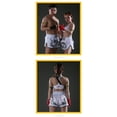 thumbnail image 3 of FLUORY Muay Thai Shorts Boxing Shorts Print Free Combat Mixed Martial Arts Boxing Training Match Pants Alphabet Embroidery, 3 of 6