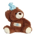 thumbnail image 1 of Aurora Stuffed Animals-Get Well Bear 12", 1 of 2