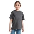 thumbnail image 3 of Fruit Of The Loom Boys/Girls Little Boys Valueweight Short Sleeve T-Shirt (Pack of 2), 3 of 4