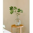 thumbnail image 4 of Faux Pieris Branch Stem, 4 of 6