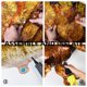 thumbnail image 5 of Juego de globos inflables con forma de dinosaurio, 3 unidades, con inflador, para fiestas, 5 of 6