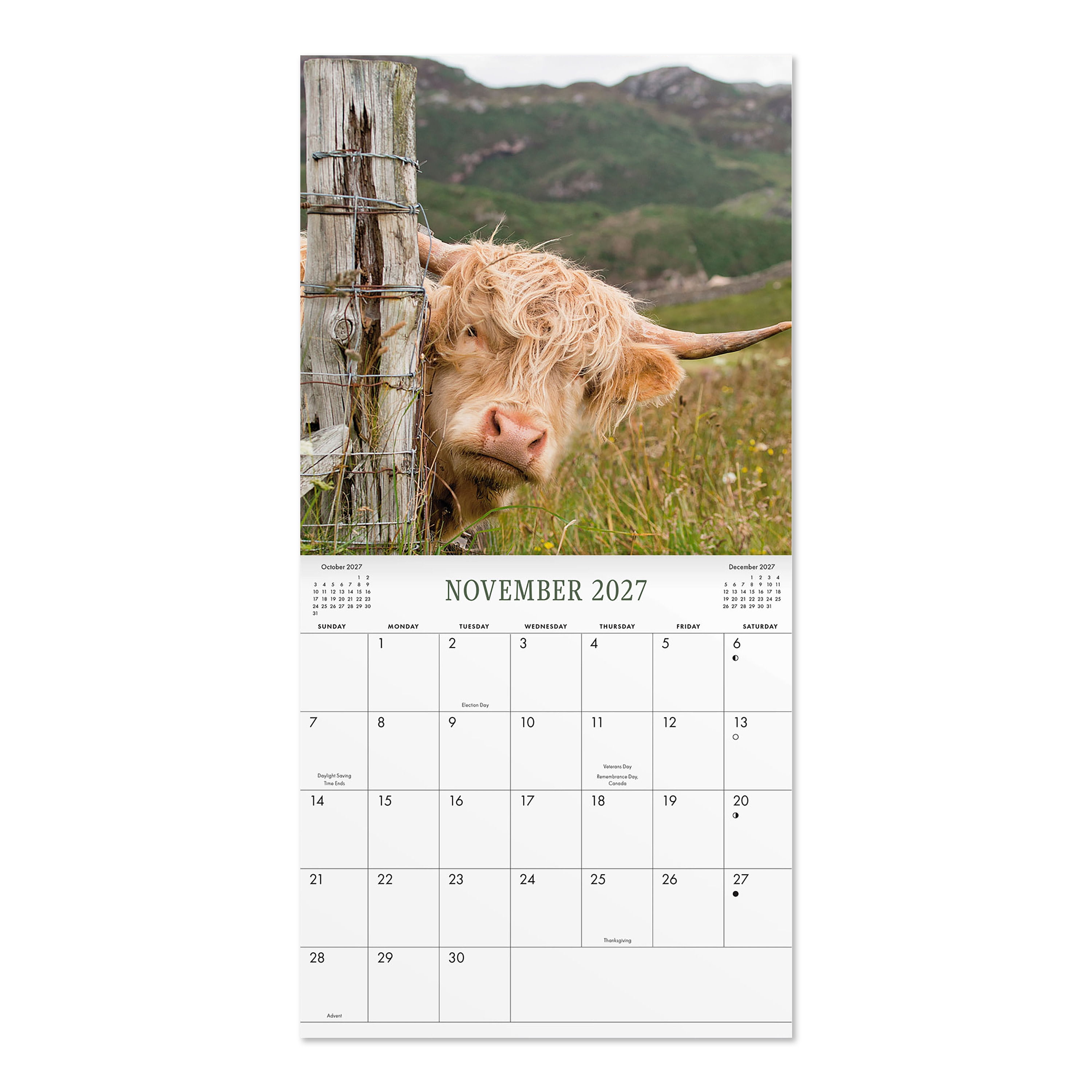 2027 Highland Cows Mini Hanging Wall Calendar 7x7 January-December Gridded