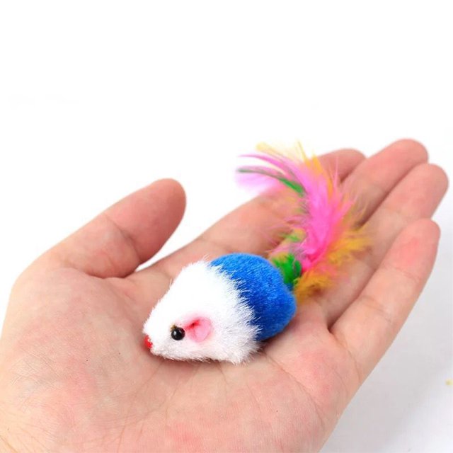 Ruiboury 10pcs/set Durable Toys For Cats Safe Exquisite Craft And Noise Maker For Cats Random 1Set