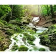 thumbnail image 2 of CafePress - Woodland Stream Throw Blanket - Soft Fleece Throw Blanket, 50"x60" for All Ages, 2 of 4