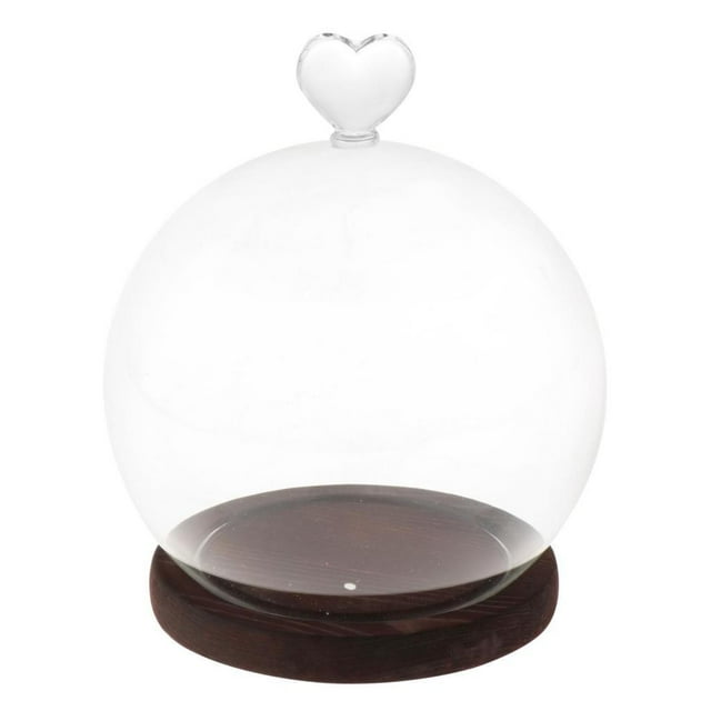 Cúpula de exhibición con base de madera, soporte de decoración DIY para el Día de San Valentín, manualidades transparentes marrón