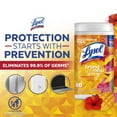 thumbnail image 5 of (3 pack) LYSOL® Disinfecting Wipes - Brand New Day™ Mango & Hibiscus 80 ct., 5 of 17
