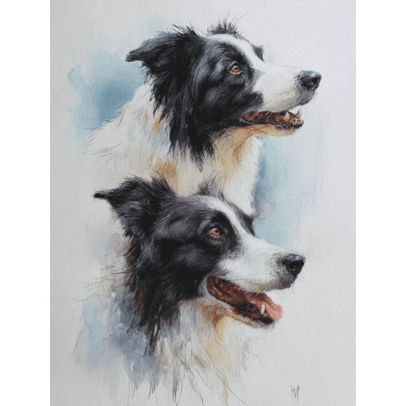 Two Border Collies Watercolor Canvas Print, Wall Art Decor for Living Room Bedroom Office Study, Pet Lover Gift