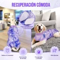 thumbnail image 4 of Faja Post Operatoria Body Traje Para Perros Chaleco Mascotas, 4 of 8