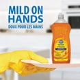 thumbnail image 2 of Great Value Détergent Liquide pour Vaisselle Parfum d'Orange 591ML, 2 of 4