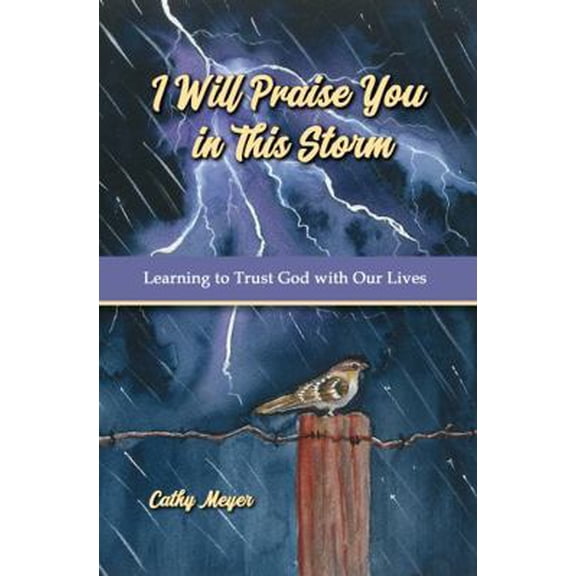 Pre-Owned I Will Praise You in This Storm: Learning to Trust God with Our Lives (Paperback) 1956793747 9781956793741