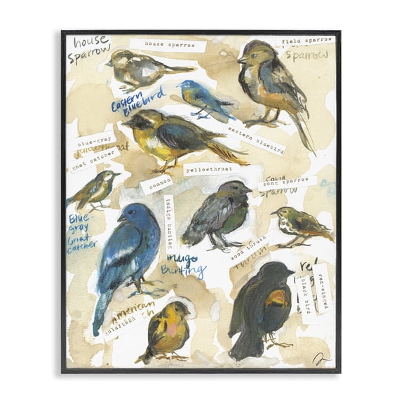 Stupell Industries Rustic Lodge Backyard Birds Identities Black Framed Giclee Art, 11 x 14, by Jessica Mingo