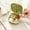 Green, variant on Japceit Jewelry Travel Case, Compartmentalized Storage Box For Earrings Rings Necklaces, Portable Mini Pill Organizer, Small Trinket Holder
