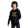 thumbnail image 3 of I'm Not Weird I Am Limited Edition Funny Sayings Hoodie Pullover Hoodie Black, 3 of 6