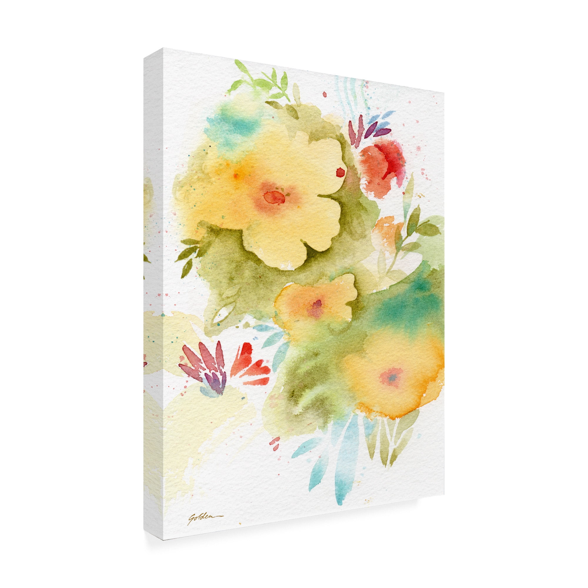Trademark Fine Art 'Fiesta Flowers' Canvas Art by Sheila Golde