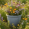 thumbnail image 2 of Sunnydaze Weather-Resistant Double-Walled Anjelica Outdoor Flower Pot Planter - 24" - Light Gray Finish - 2-Pack, 2 of 10