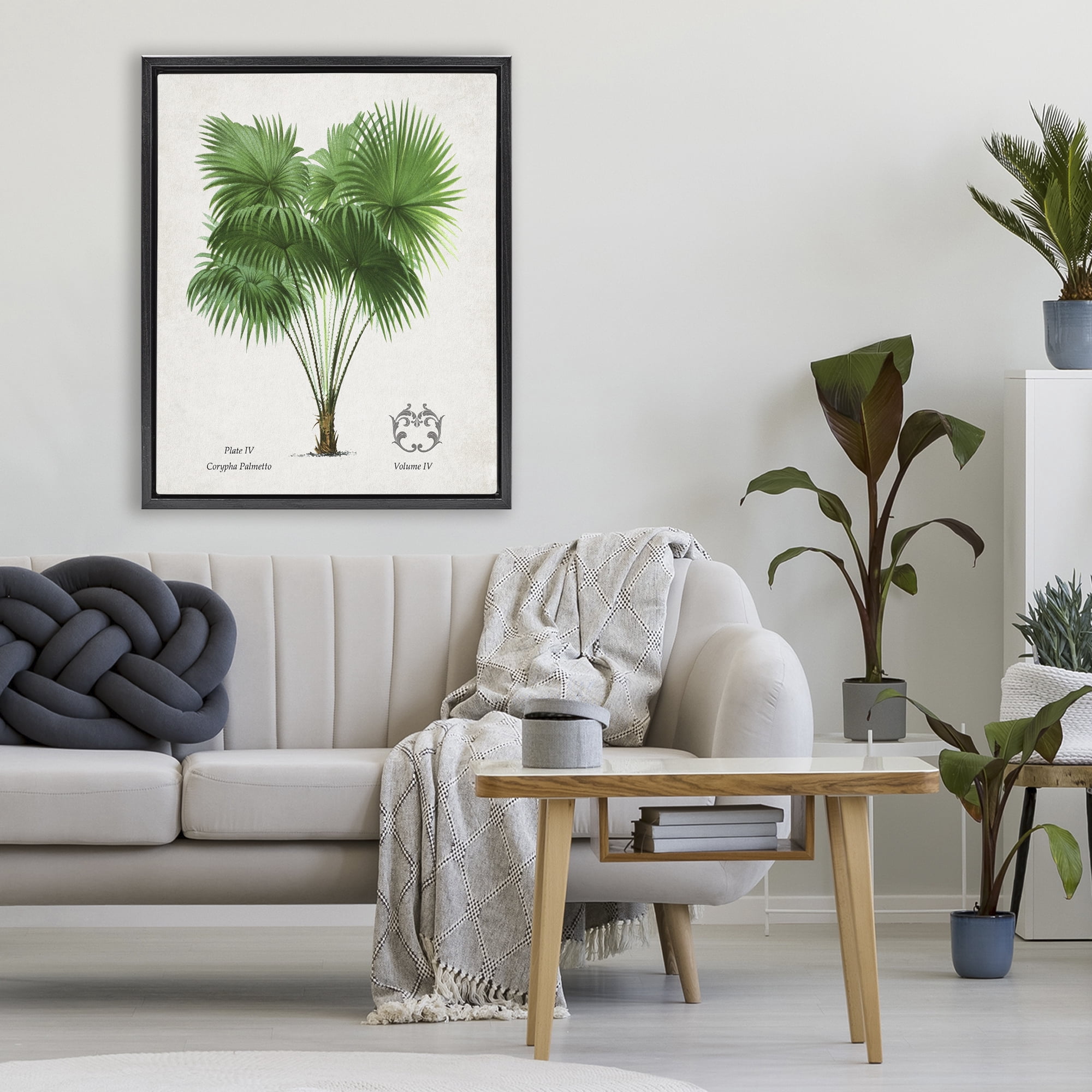 Stupell Industries Fan Palm Vintage Study Black Framed Floater Canvas Wall Art, design by Val Rhodes