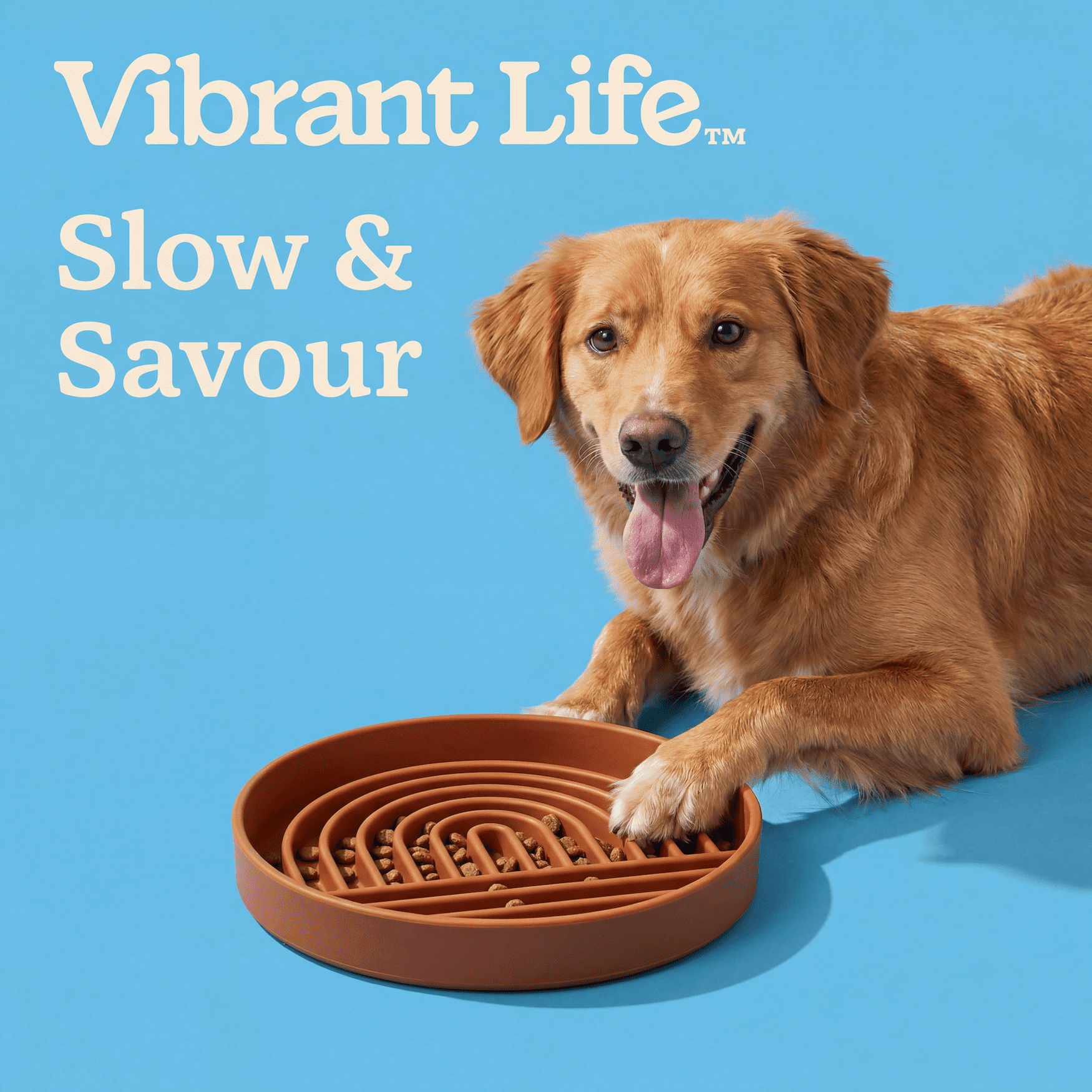 Vibrant Life Silicone Slow Pet Feeder for Dogs and Cats, Brown, 7.75 in x 7.75 in