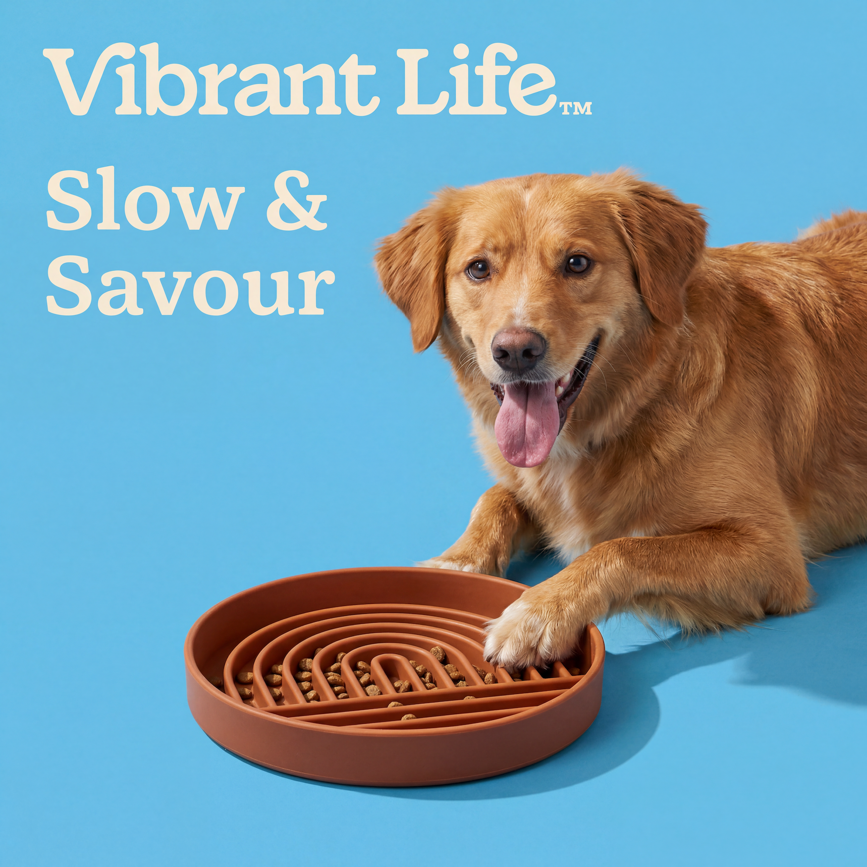 Vibrant Life Silicone Slow Pet Feeder, Brown photo 4