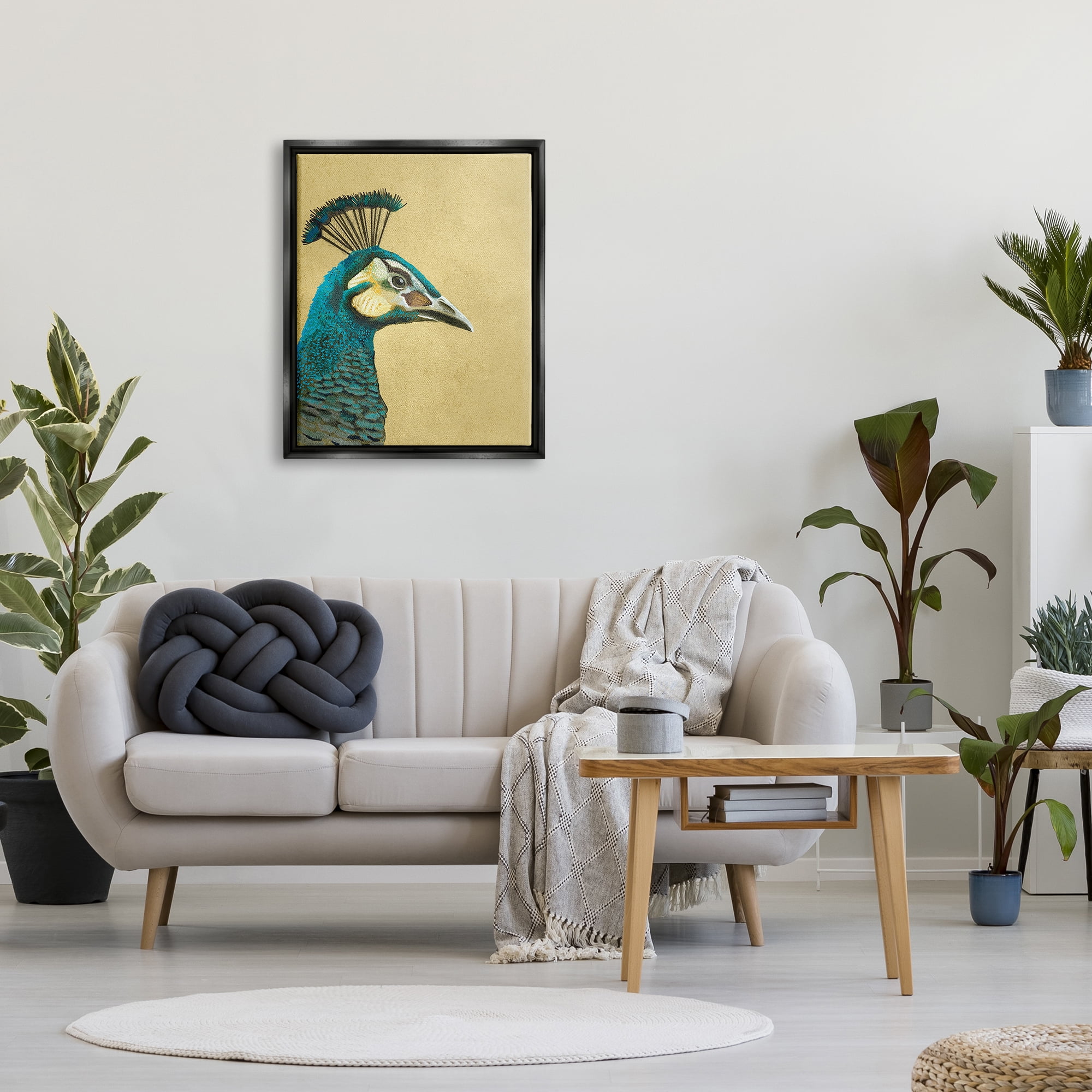 Stupell Industries Peacock Looking Right Animals & Insects Painting Black Floater Framed Canvas Art Print Wall Art, 25 x 31