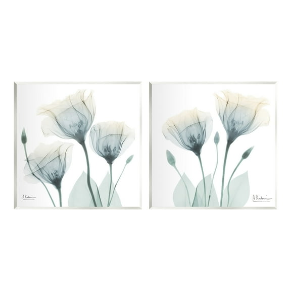 Stupell Industries Budding Opaque Tulips Botanical & Floral Photography Unframed Art Print Wall Art, 12 x 12, Set of 2