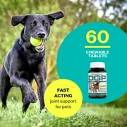 DGP for Pets All-Natural Joint Supplement for Dog Hip & Joint Support with Turmeric Boswellia Extract, Feverfew - Quick Mobility Support - 60 Chew Tabs for Pets