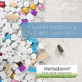 thumbnail image 5 of Herbatonin 0.3mg – The First Phyto-Melatonin (Natural Plant Melatonin) – 90 Vegan Capsules (90 Day Supply) Low Dose, Natural Sleep Aid and Circadian Rhythm Support (Pack of 2), 5 of 6