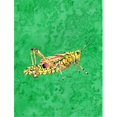 thumbnail image 1 of 11 x 15 In. Grasshopper On Green Flag, Garden Size, 1 of 1