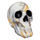 thumbnail image 1 of Estatua de calavera humana, esqueleto de la muerte, hueso de la cabeza, figurita de resina para Halloween 14.5x12.5x17.5 Blanco, 1 of 9