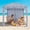 Starfish Shell, variant on Nextay 6x6ft Beach Cabana with Side Wall, UPF 50+ Sun Shelter & Wind-Resistant Canopy, Portable Beach Tent with Carry Bag (Dark Blue)