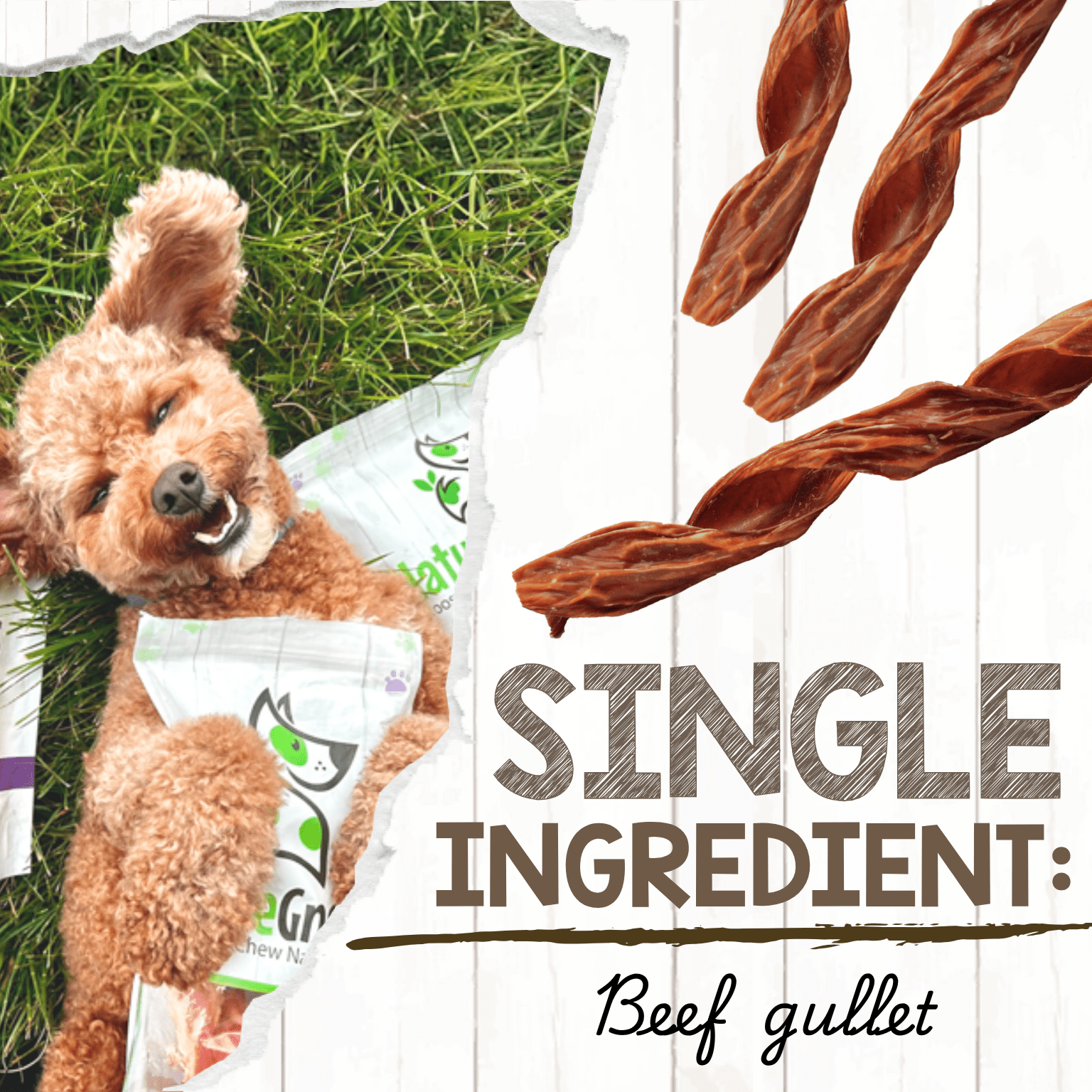 Nature Gnaws Beef Jerky Springs, Natural Dog Chew Treats (6 count)