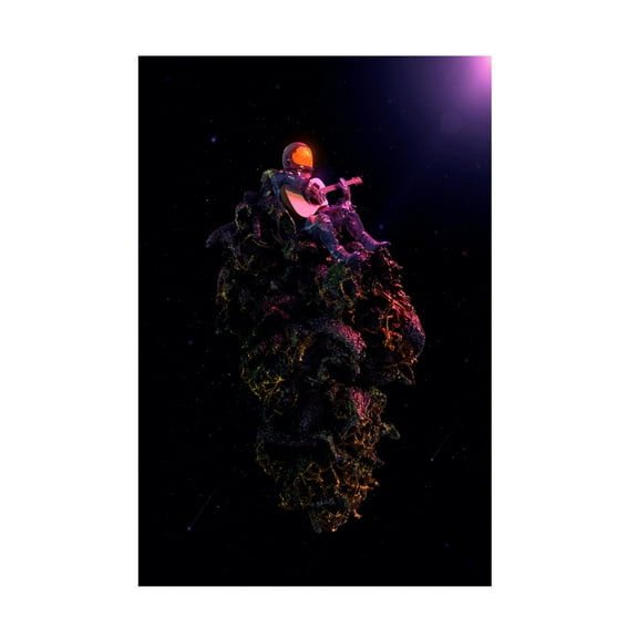 Canvas Wall Art - Francis Minoza 'High Tones' Wall Art for Living Room, Bedroom, or Office D?cor by Trademark Fine Art - 12 x 19 Inches