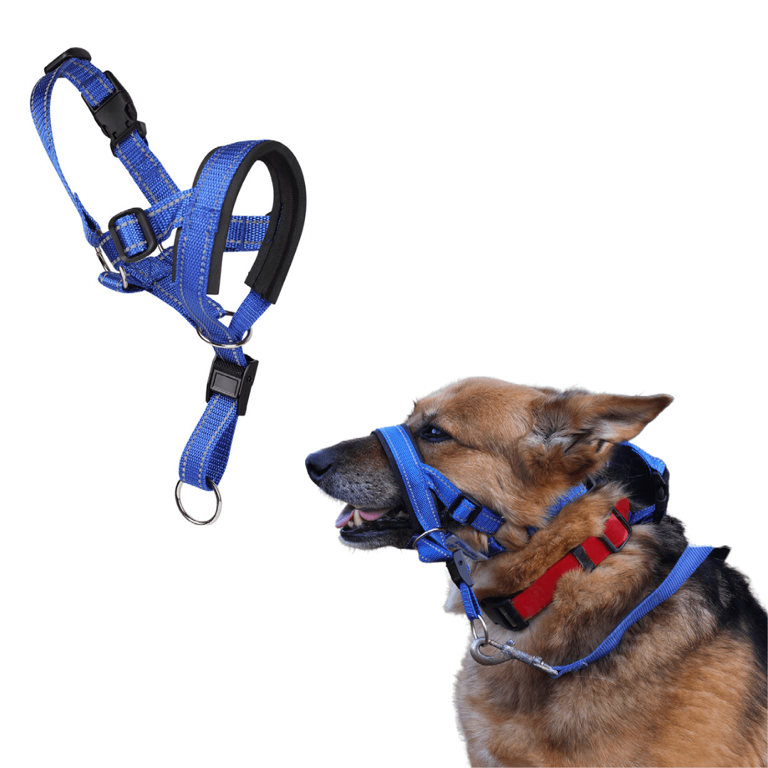 Stop the Struggle! Get Your Dog Head Collar for Large Dogs and Enjoy
