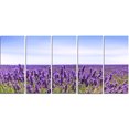 thumbnail image 2 of Close View of Lavender Flower Field - Oversized Landscape Wall Art Print, 2 of 3