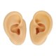 thumbnail image 2 of Modelo De Práctica De Perforación De Oreja, Modelo De Oreja De Silicona Conveniente Realista Izquierda Derecha Para Exhibición De Auriculares, 2 of 7