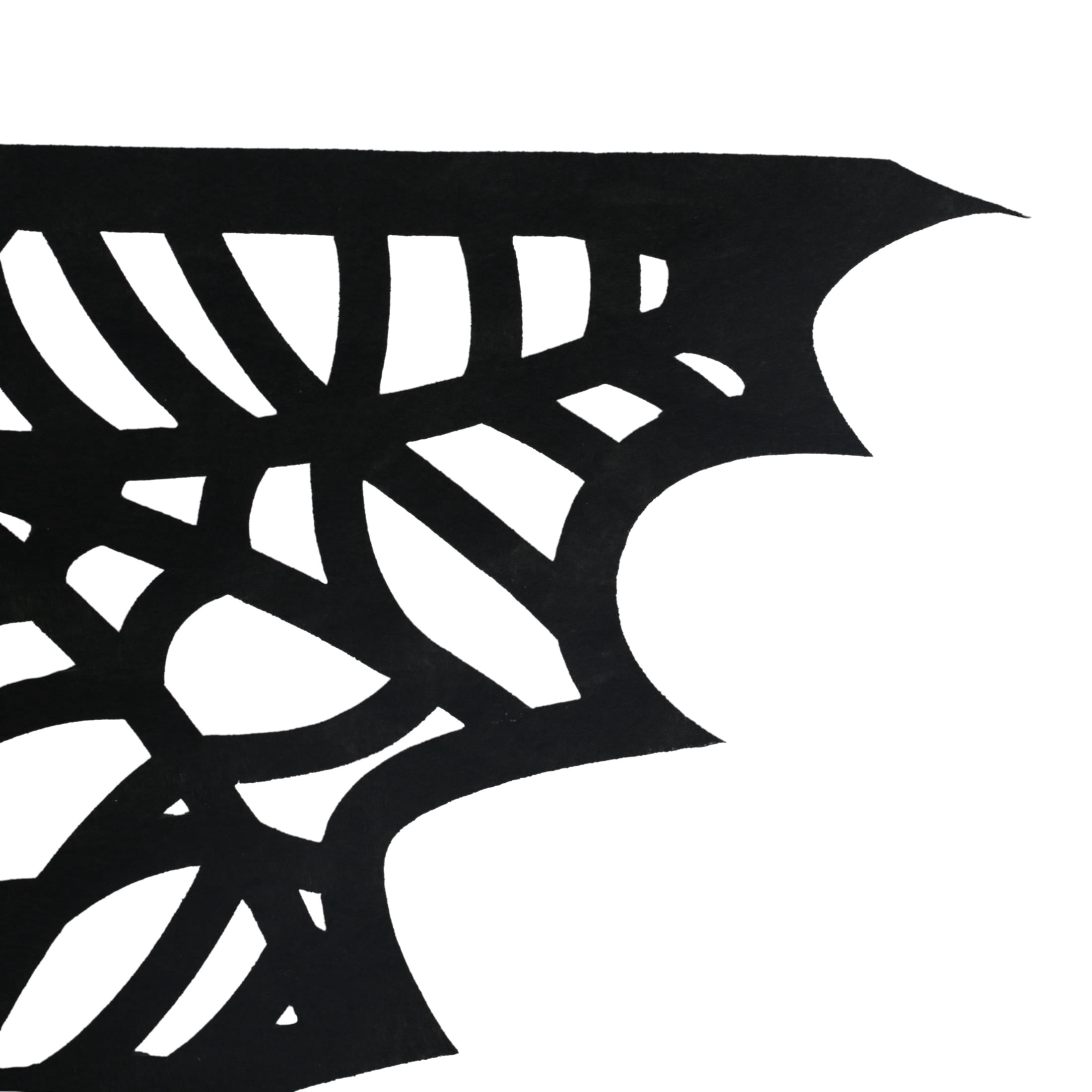Spider Web Cape Costume Accessory for Adults, Black, One Size, Halloween by Way To Celebrate
