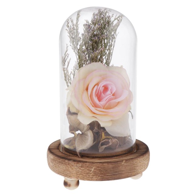 Exhibición de Decorativo Cloche Bell Frascos Plantas Suculentas Flor Jardín Terrario Hogar de Centro de Rosa claro Soledad Florero de preservación de flores