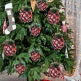 thumbnail image 3 of Adornos navideños de plástico Fiudx colgantes para árbol de Navidad 8 cm 6 unidades, 3 of 5
