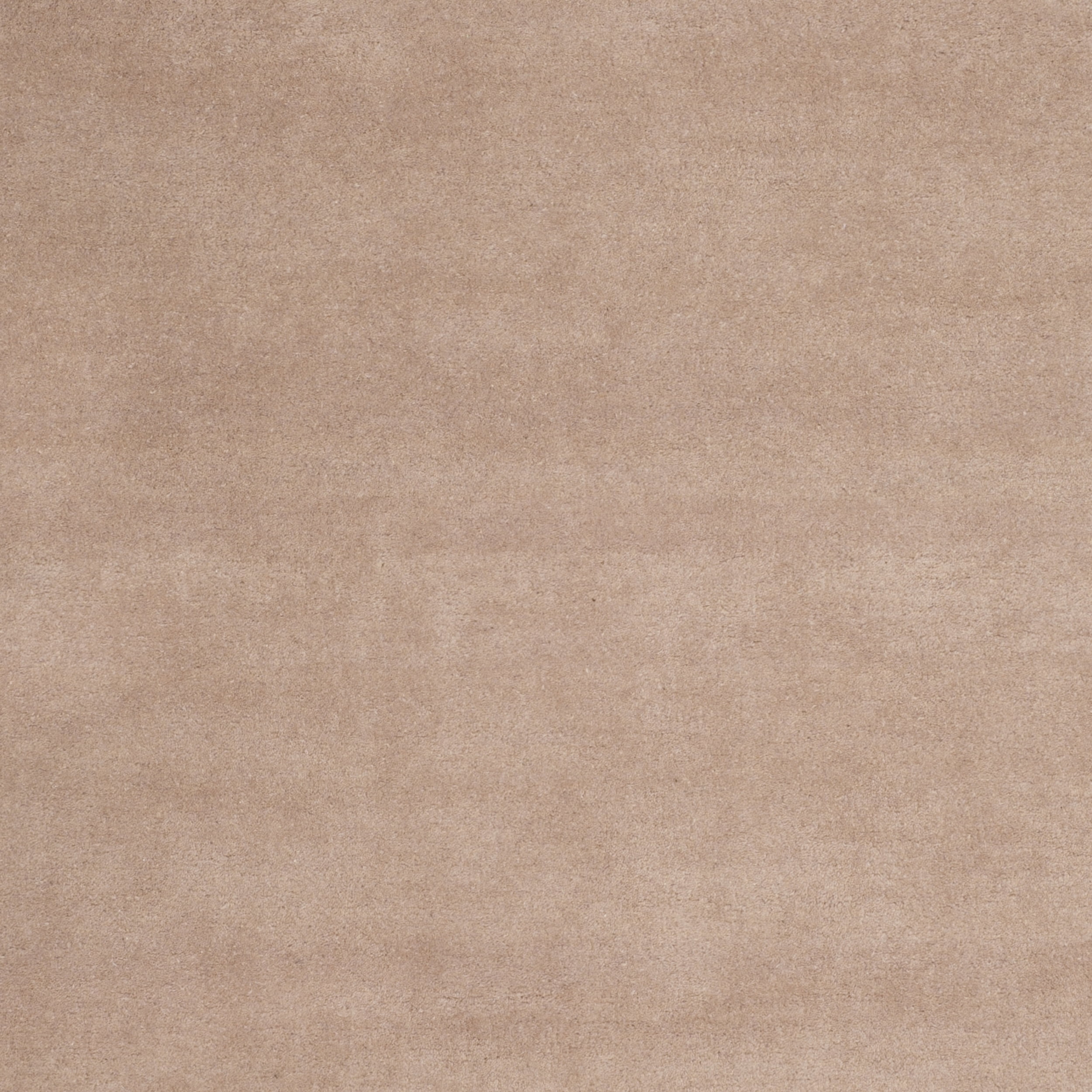 SAFAVIEH Bella Danita Plain Dotted Bordered Wool Area Rug, Beige/Ivory, 5' x 8'