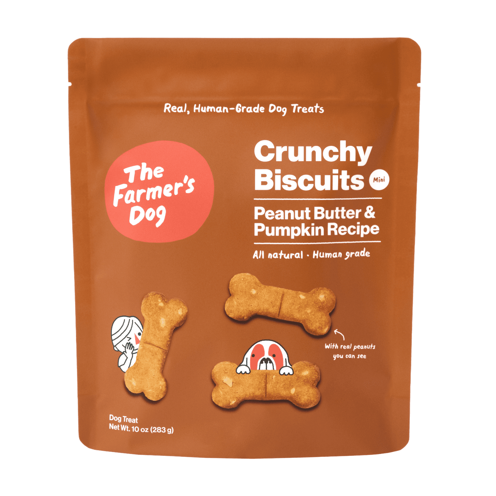 The Farmer’s Dog Human-Grade Crunchy Dog Biscuits, Peanut Butter & Pumpkin 10oz