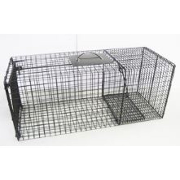 Bridger Live Cage Skunk, Rabbit, Small Raccoon Trap (27 x 9 x 9