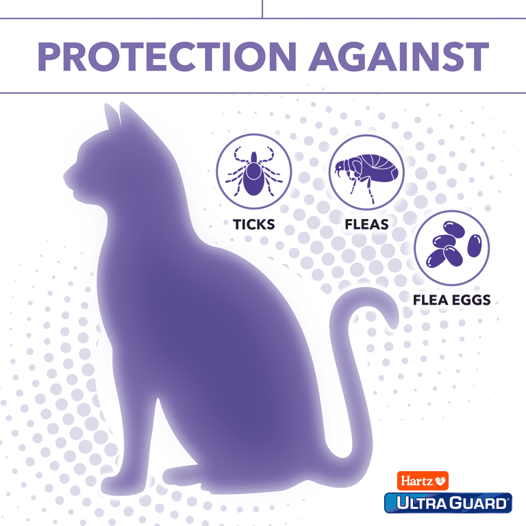 Best flea medicine for cats 2019 online