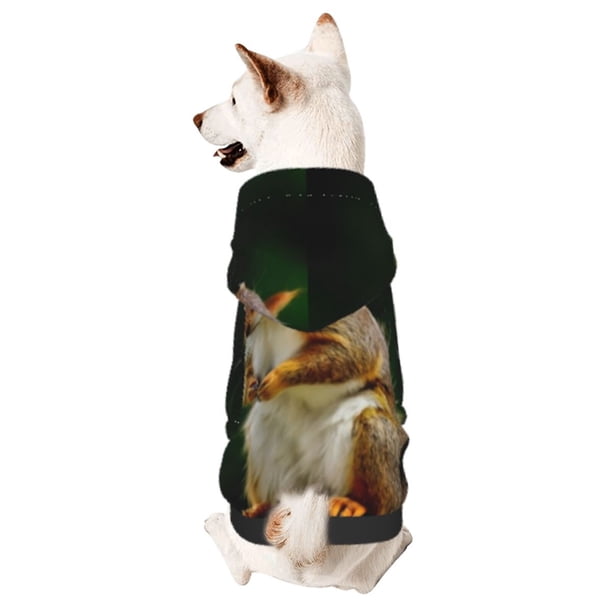 Fotbe Squirrels Eating Peanuts On The Tree Sudadera con Estampado para Perros Pequeños – Suéter con Capucha para Mascotas, Tela Suave de Forro Polar con Bolsillo-XX-Large