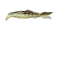 thumbnail image 1 of Xihbxyly Cebo para Peces Mino, Natación Realista, Diseño de Colores Brillantes, Plástico Blando, Atrae Bagres, Percas y Lucios, Fácil de Colocar con Cabeza Plomada o Anzuelo Ewg, 8 Cm, 1 of 1