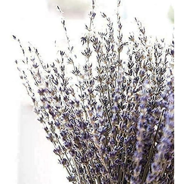 Dried Lavender Bundles 100% Natural Dried Lavender Flowers for Home Decoration, Photo Props, Home Fragrance, 2 Bundles Pack