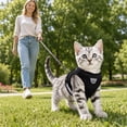 thumbnail image 4 of Dog Harness, Breathable Mesh No Pull Black X-Small, 1 Pack Reflective Step In Pet Vest Harness with Leash Set, for Walking Training Outdoor Activities for Small Puppy Cats Pets, 4 of 7