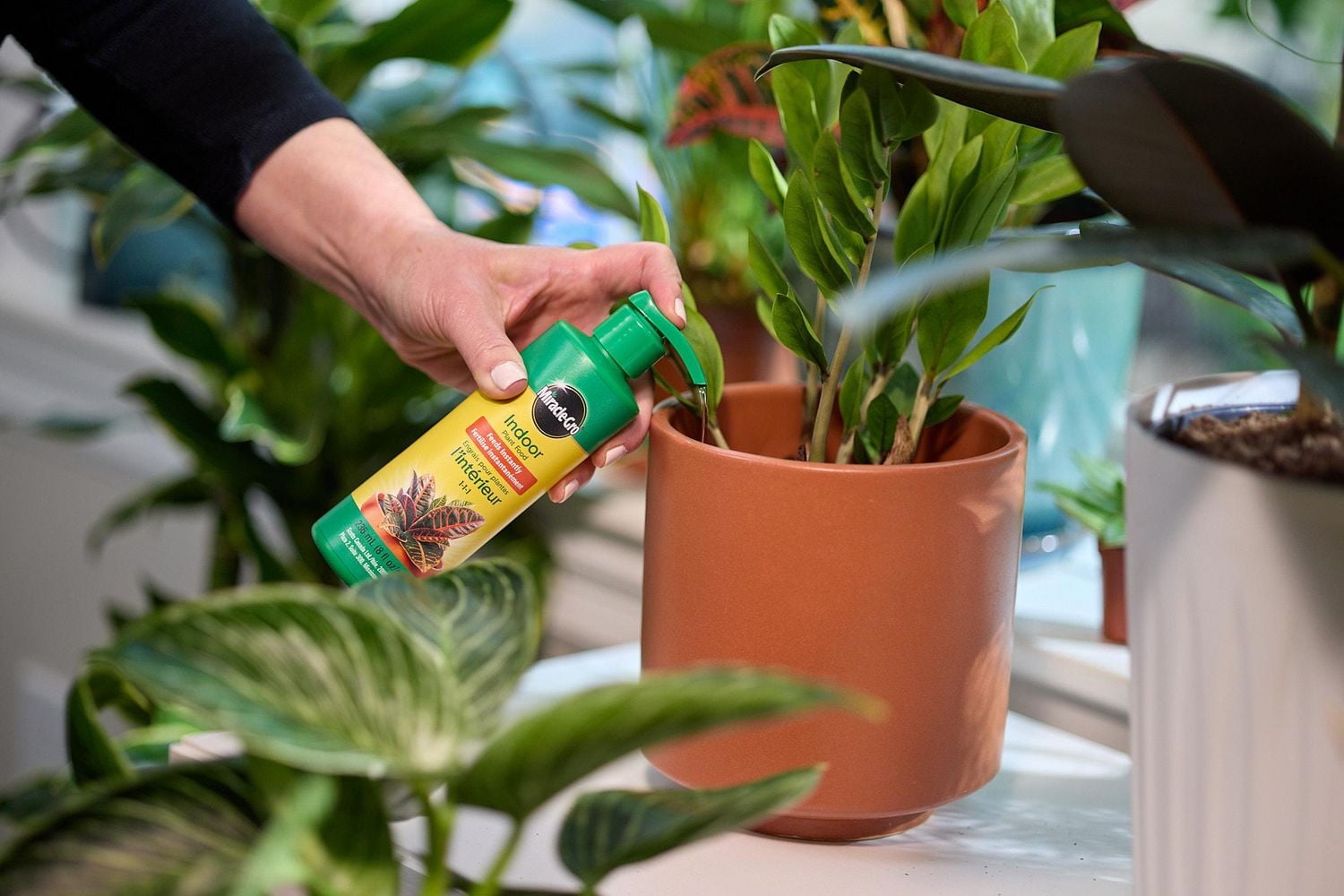 Miracle-Gro Engrais pour plantes d’intérieur   1-1-1   236mL 1-1-1   236mL